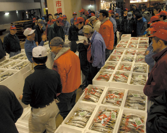 福岡鮮魚市場